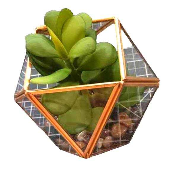 Set of (2) 5" x 4" Artificial Succulent Plant with Brass Terrarium - Opalhouse - Picture 4 of 8